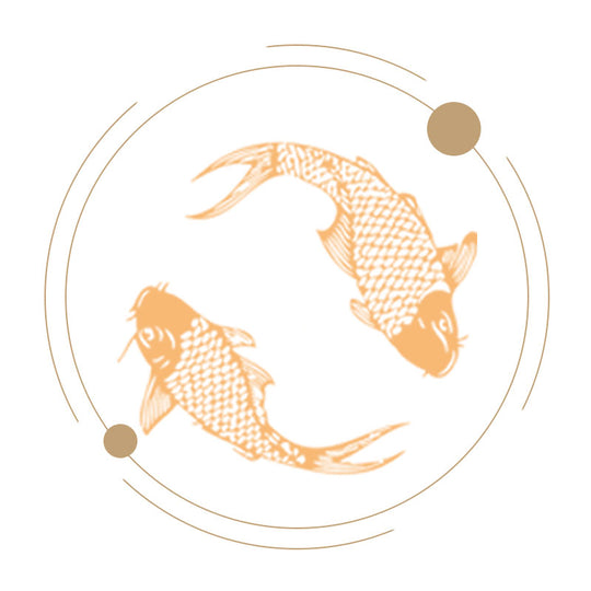 錦鯉魚