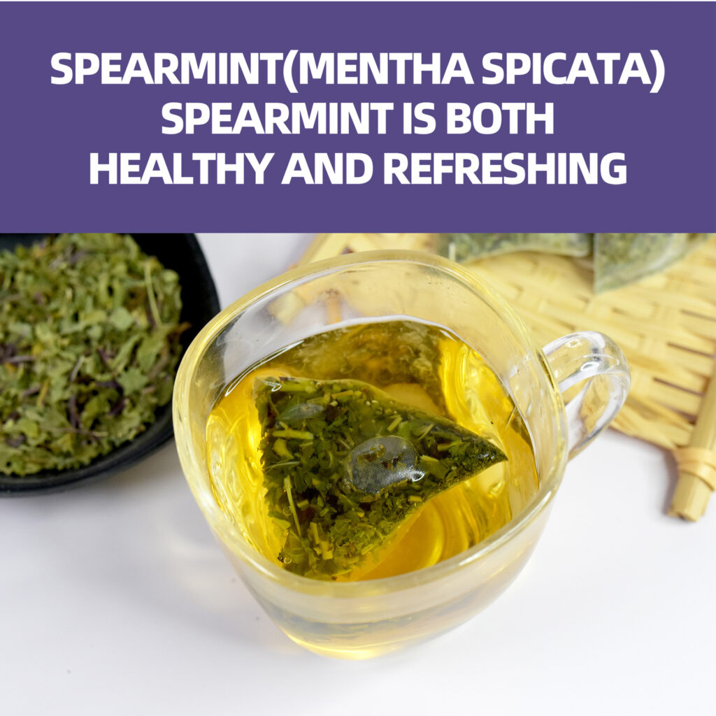Pure Spearmint Herbal Tea Bags, Natural Caffeine-Free Refreshing Wellness Tea, Gentle Digestive Support & Mouth Freshening Tea for Daily Relaxation — View 3