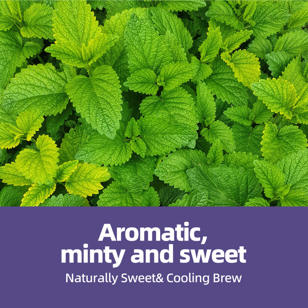 Pure Spearmint Herbal Tea Bags, Natural Caffeine-Free Refreshing Wellness Tea, Gentle Digestive Support & Mouth Freshening Tea for Daily Relaxation — View 2
